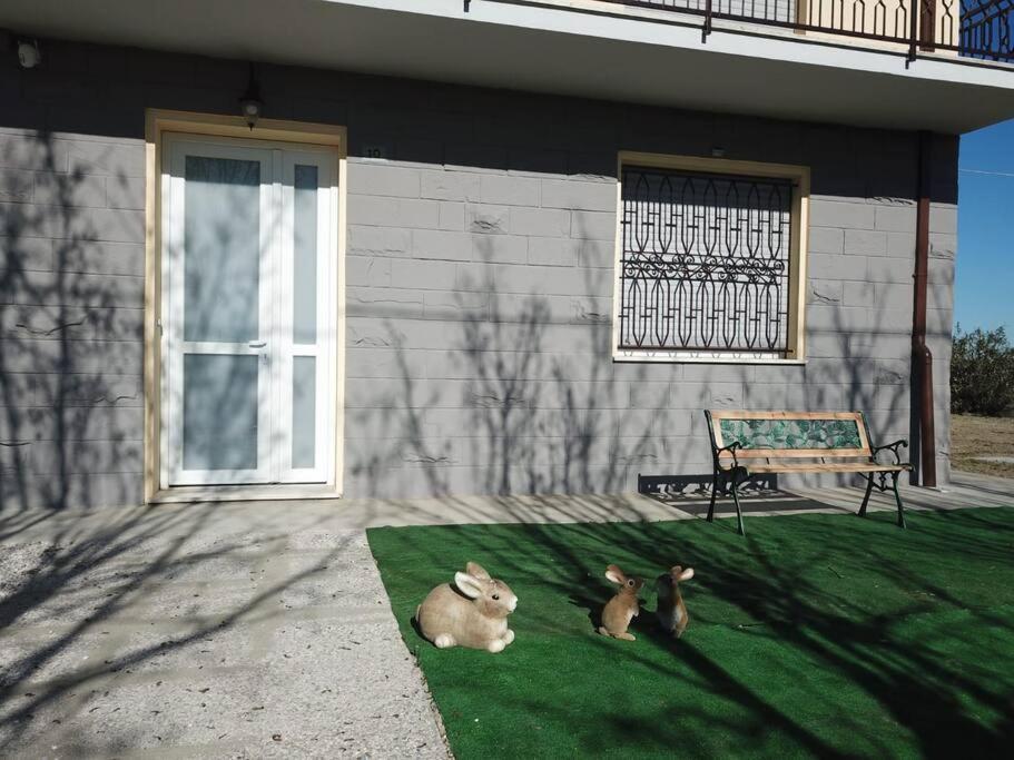 Il Leprotto - Room & Breakfast Altedo Exterior photo